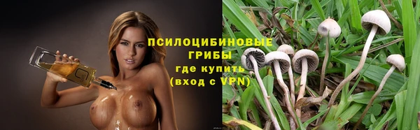 индика Балабаново