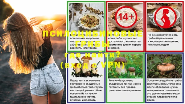 индика Балабаново