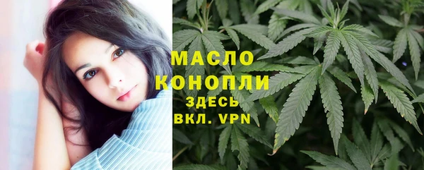 индика Балабаново